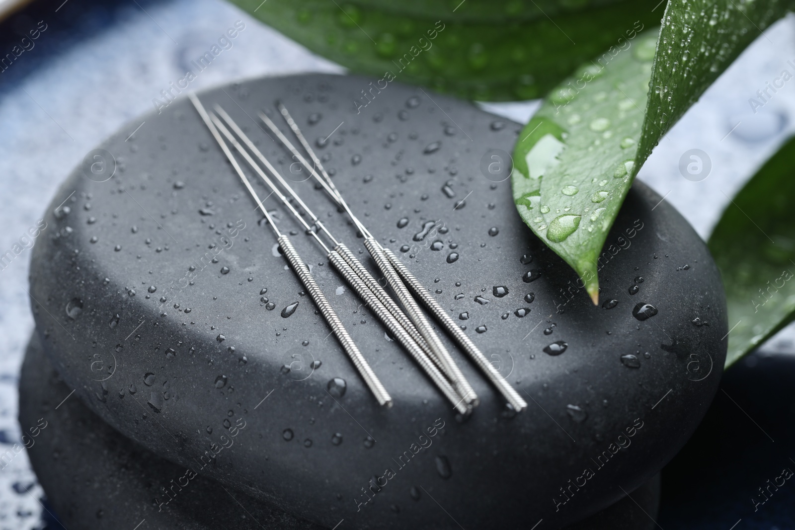 Acupuncture needles, wet spa stones and leaves on blue tray, closeup Photo of Acupuncture needles, wet spa stones and leaves on blue tray, closeup