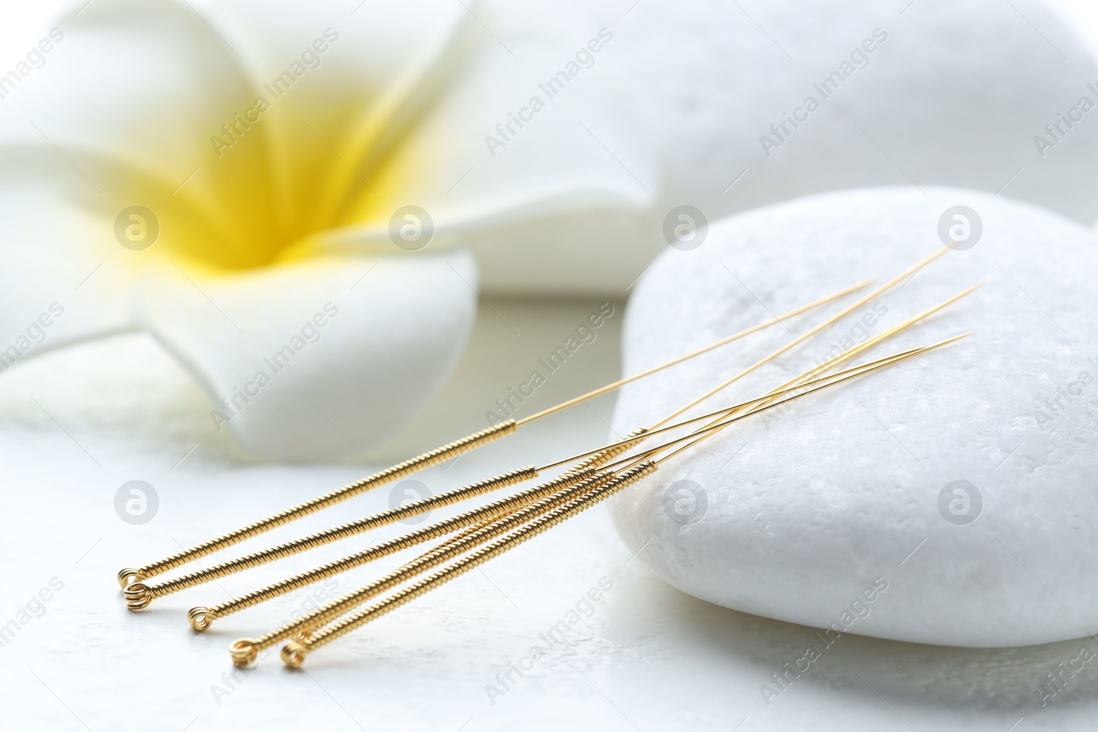 Acupuncture needles, spa stones and flower on white background, closeup Photo of Acupuncture needles, spa stones and flower on white background, closeup