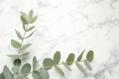 Photo of Eucalyptus branches with fresh leaves on white marble background, flat lay