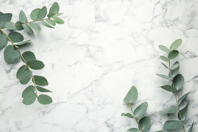 Photo of Eucalyptus branches with fresh leaves on white marble background, flat lay. Space for text