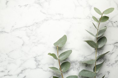Photo of Eucalyptus branches with fresh leaves on white marble background, flat lay. Space for text