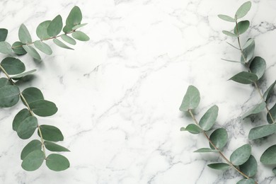 Photo of Eucalyptus branches with fresh leaves on white marble background, flat lay. Space for text