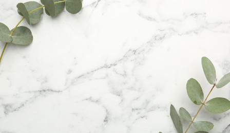 Photo of Eucalyptus branches with fresh leaves on white marble background, flat lay. Space for text