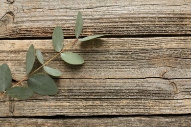 Photo of Beautiful eucalyptus branch on wooden background, top view. Space for text