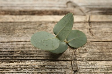 Photo of Beautiful eucalyptus branch on wooden background, closeup
