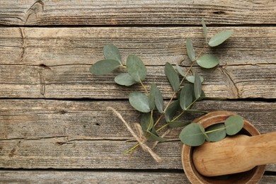 Photo of Beautiful eucalyptus branches, mortar and pestle on wooden background, top view