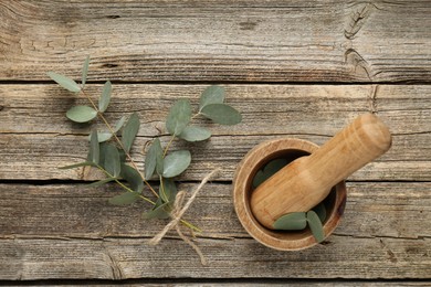 Photo of Beautiful eucalyptus branches, mortar and pestle on wooden background, top view