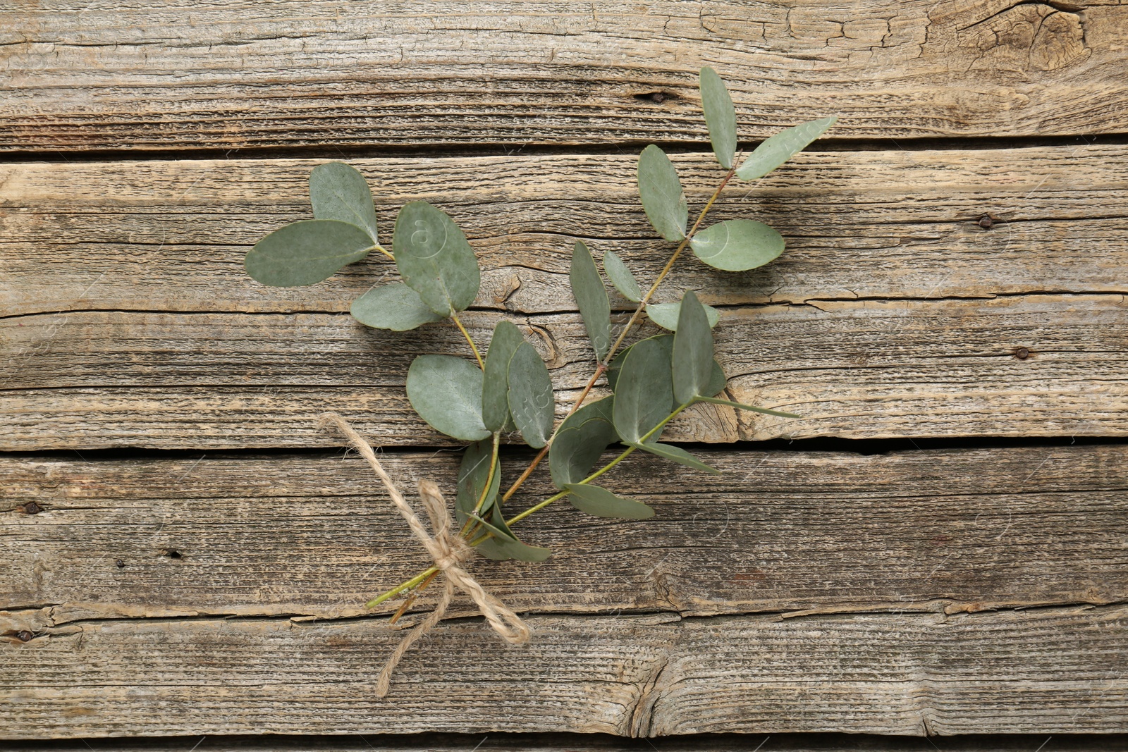 Beautiful eucalyptus branches on wooden background, top view Photo of Beautiful eucalyptus branches on wooden background, top view