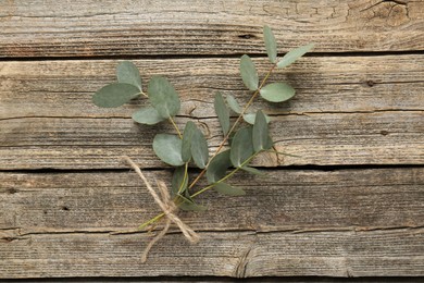 Photo of Beautiful eucalyptus branches on wooden background, top view