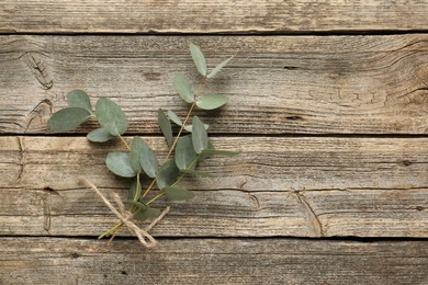 Photo of Beautiful eucalyptus branches on wooden background, top view. Space for text