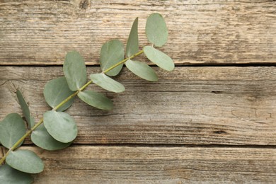 Photo of Beautiful eucalyptus branch on wooden background, top view. Space for text