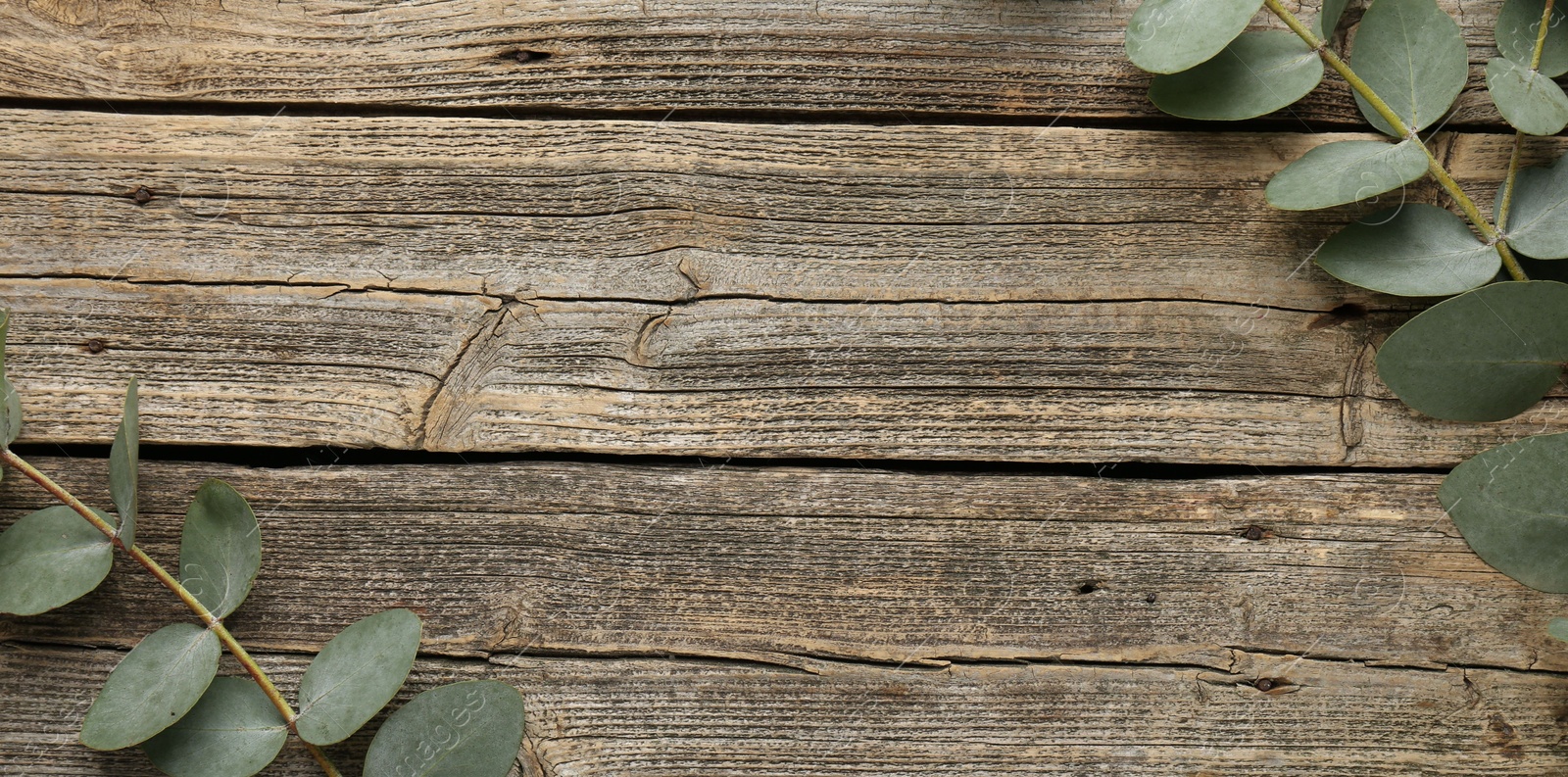Beautiful eucalyptus branches on wooden background, flat lay. Space for text Photo of Beautiful eucalyptus branches on wooden background, flat lay. Space for text
