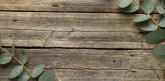 Photo of Beautiful eucalyptus branches on wooden background, flat lay. Space for text