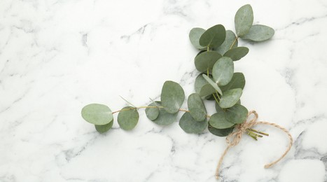 Photo of Beautiful eucalyptus branches on white marble background, top view. Space for text