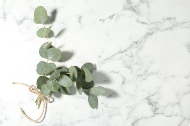 Photo of Beautiful eucalyptus branches on white marble background, top view. Space for text