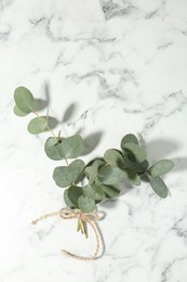 Photo of Beautiful eucalyptus branches on white marble background, top view. Space for text