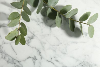 Photo of Beautiful eucalyptus branches on white marble background, closeup. Space for text