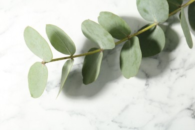 Photo of Beautiful eucalyptus branch on white marble background, closeup