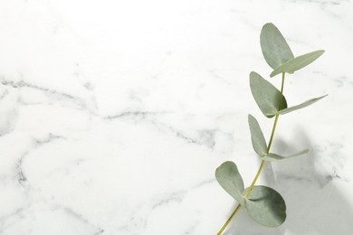 Photo of Beautiful eucalyptus branch on white marble background, top view. Space for text