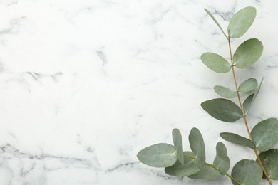 Photo of Beautiful eucalyptus branches on white marble background, top view. Space for text