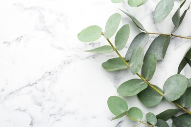 Photo of Beautiful eucalyptus branches on white marble background, top view. Space for text