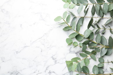 Photo of Beautiful eucalyptus branches on white marble background, top view. Space for text