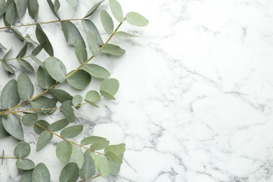 Photo of Beautiful eucalyptus branches on white marble background, top view. Space for text