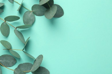 Photo of Beautiful eucalyptus branches on turquoise background, top view. Space for text