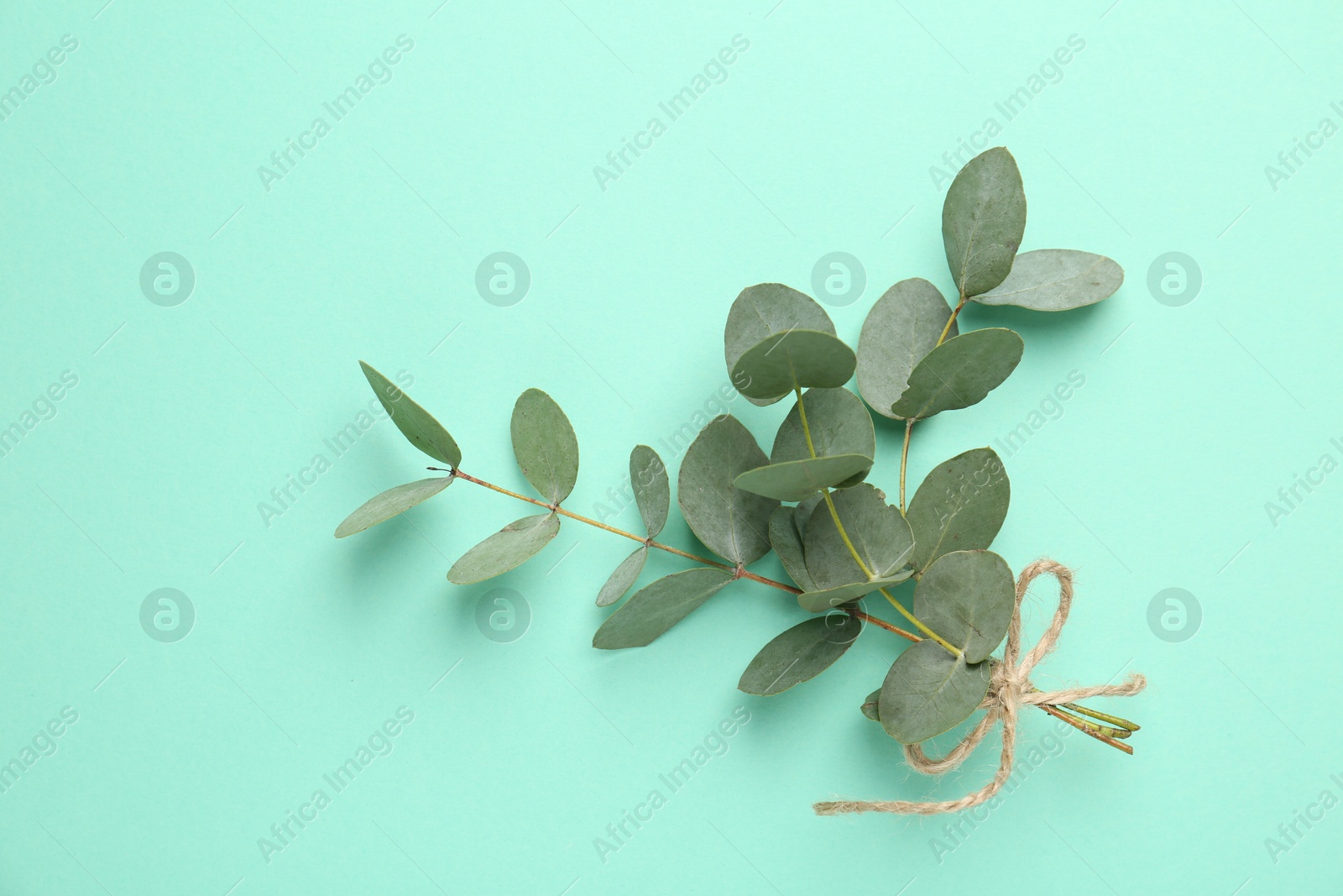 Beautiful eucalyptus branches on turquoise background, top view Photo of Beautiful eucalyptus branches on turquoise background, top view