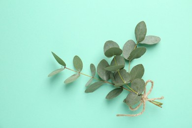 Photo of Beautiful eucalyptus branches on turquoise background, top view