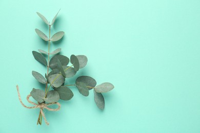 Photo of Beautiful eucalyptus branches on turquoise background, top view. Space for text