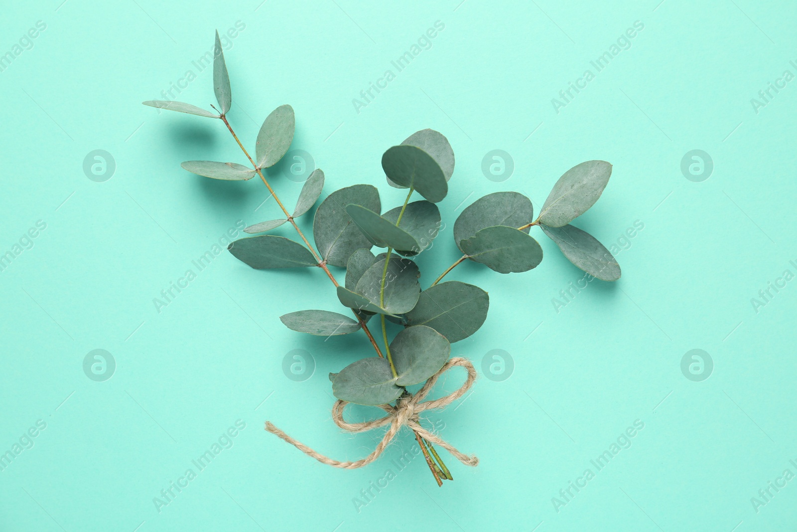Beautiful eucalyptus branches on turquoise background, top view Photo of Beautiful eucalyptus branches on turquoise background, top view