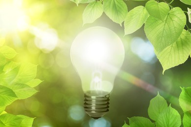 Image of Glowing light bulb and lush green leaves under bright sunlight. Eco-friendly energy