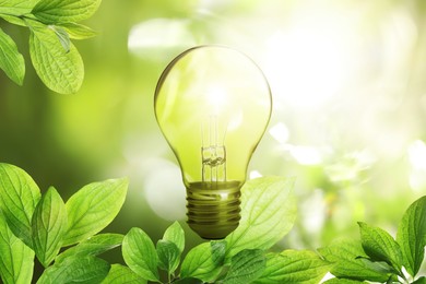 Image of Glowing light bulb and lush green leaves under bright sunlight. Eco-friendly energy