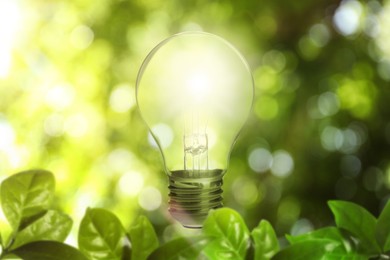Image of Glowing light bulb among lush green leaves under bright sunlight. Eco-friendly energy