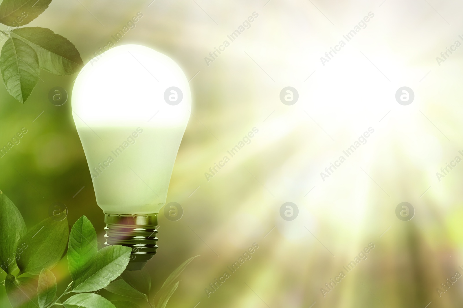 Glowing light bulb and lush green leaves under bright sunlight. Eco-friendly energy Image of Glowing light bulb and lush green leaves under bright sunlight. Eco-friendly energy
