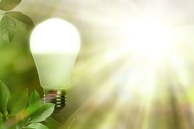 Image of Glowing light bulb and lush green leaves under bright sunlight. Eco-friendly energy