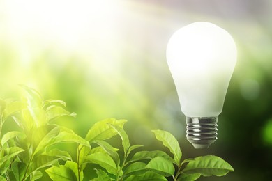 Glowing light bulb and lush green leaves under bright sunlight. Eco-friendly energy