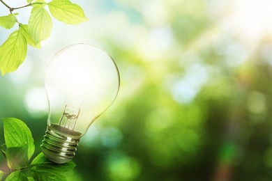 Image of Glowing light bulb and lush green leaves under bright sunlight. Eco-friendly energy