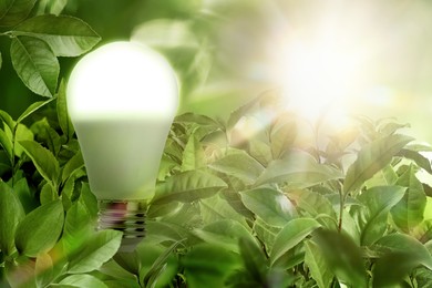 Image of Glowing light bulb among lush green leaves under bright sunlight. Eco-friendly energy
