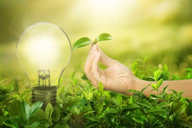 Image of Glowing light bulb among lush green leaves and woman holding seedling under bright sunlight. Eco-friendly energy