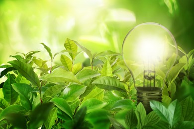 Image of Glowing light bulb among lush green leaves under bright sunlight. Eco-friendly energy