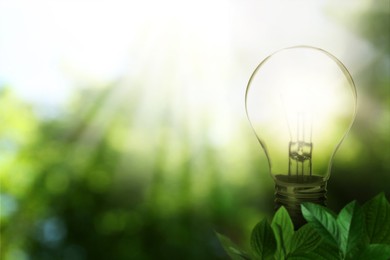 Image of Glowing light bulb and lush green leaves under bright sunlight. Eco-friendly energy
