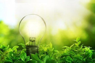 Image of Glowing light bulb among lush green leaves under bright sunlight. Eco-friendly energy