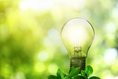 Image of Glowing light bulb and lush green leaves under bright sunlight. Eco-friendly energy