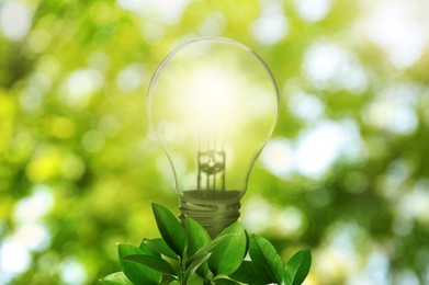 Image of Glowing light bulb and lush green leaves under bright sunlight. Eco-friendly energy