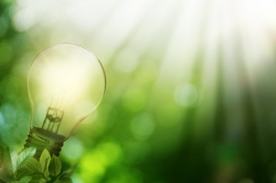 Image of Glowing light bulb and lush green leaves under bright sunlight. Eco-friendly energy