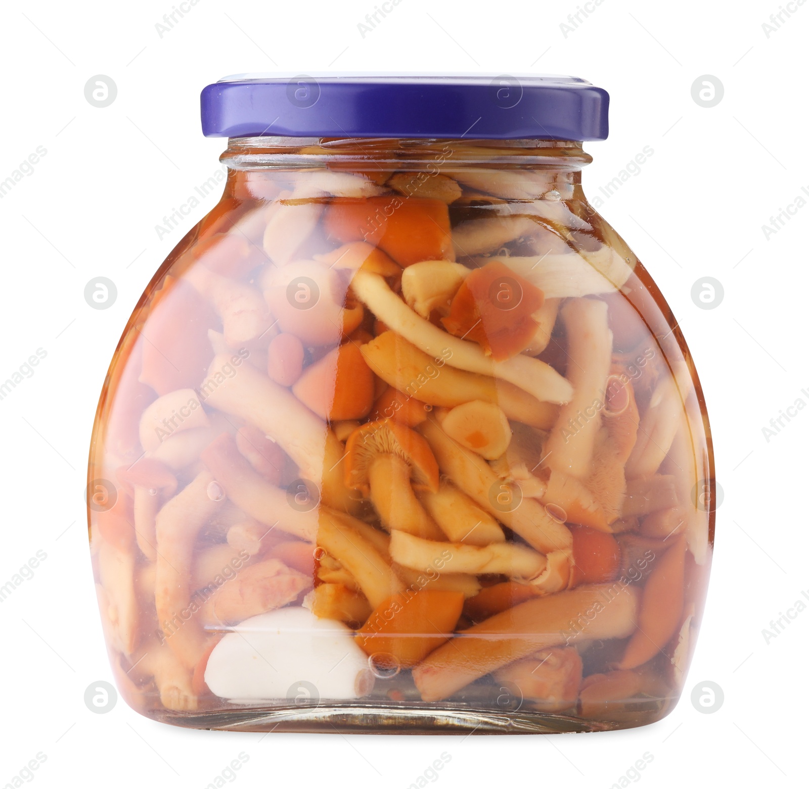 Tasty pickled mushrooms in jar isolated on white Photo of Tasty pickled mushrooms in jar isolated on white