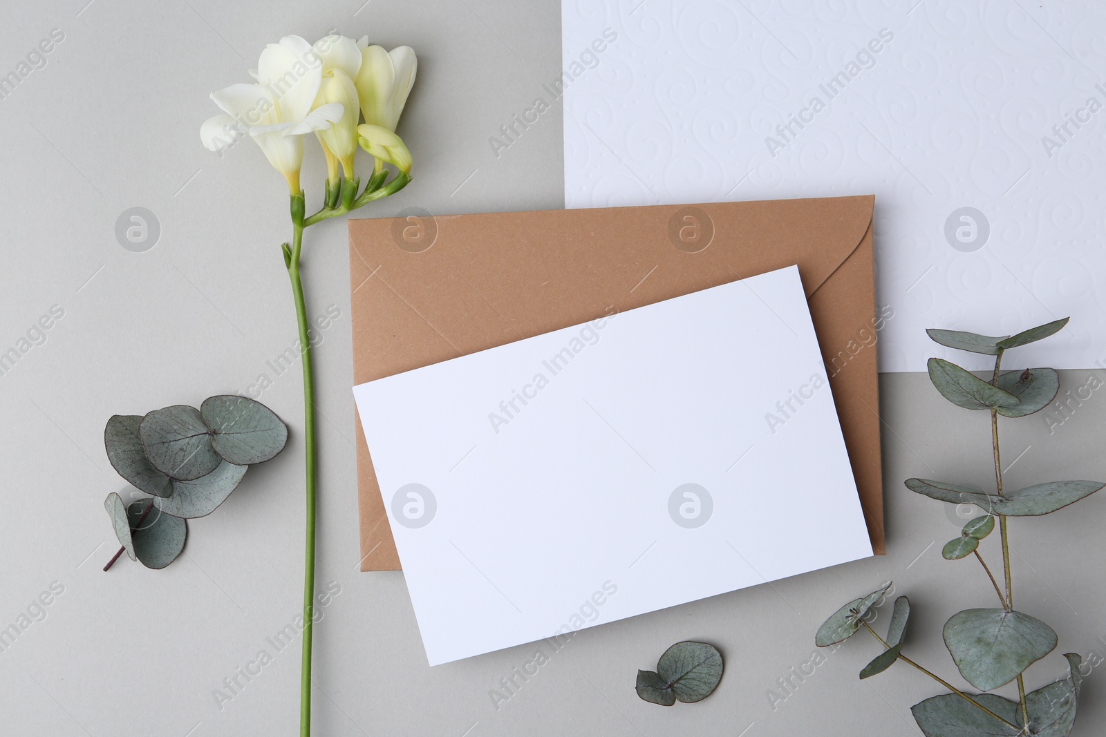Blank greeting card, paper envelope, flower and eucalyptus leaves on light grey background, flat lay Photo of Blank greeting card, paper envelope, flower and eucalyptus leaves on light grey background, flat lay