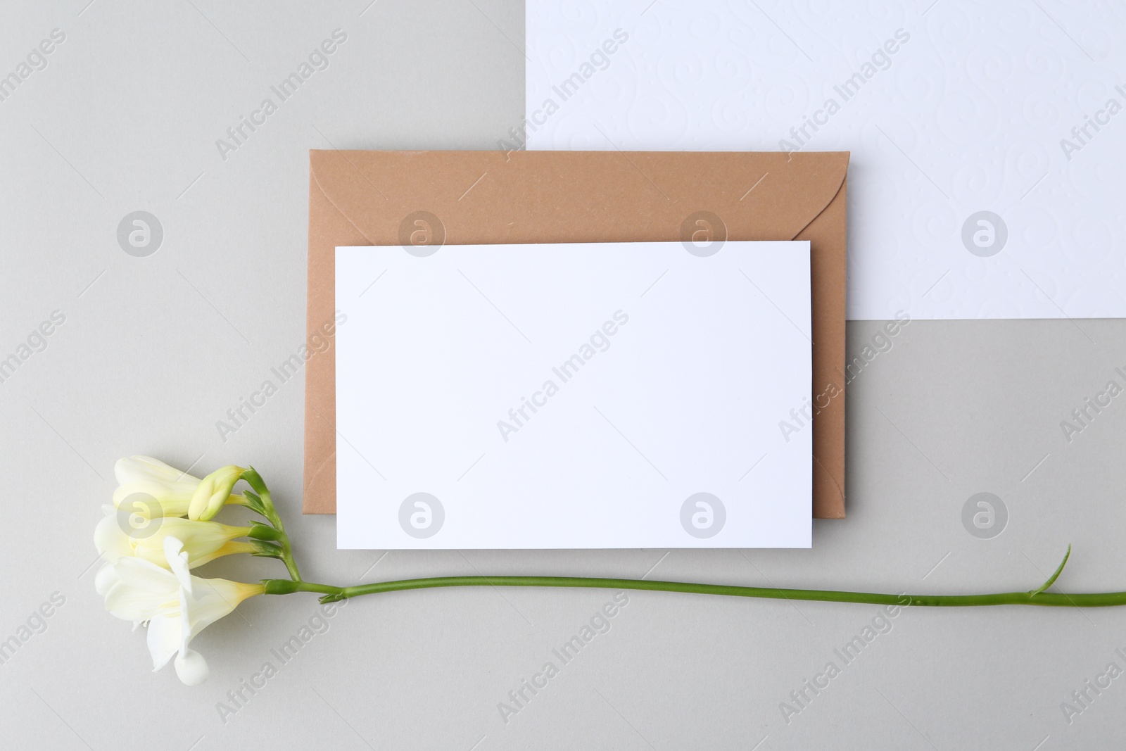 Blank greeting card, paper envelope and flower on light grey background, flat lay Photo of Blank greeting card, paper envelope and flower on light grey background, flat lay